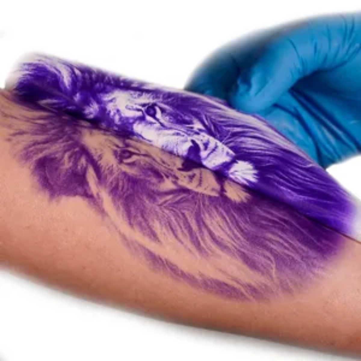 Transfer - Electric Ink - Gloo - Imagem 3
